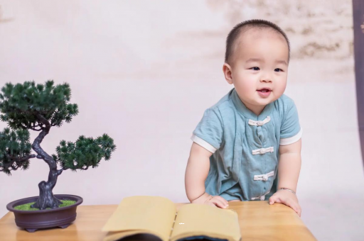 湖州可爱的企鹅宝宝